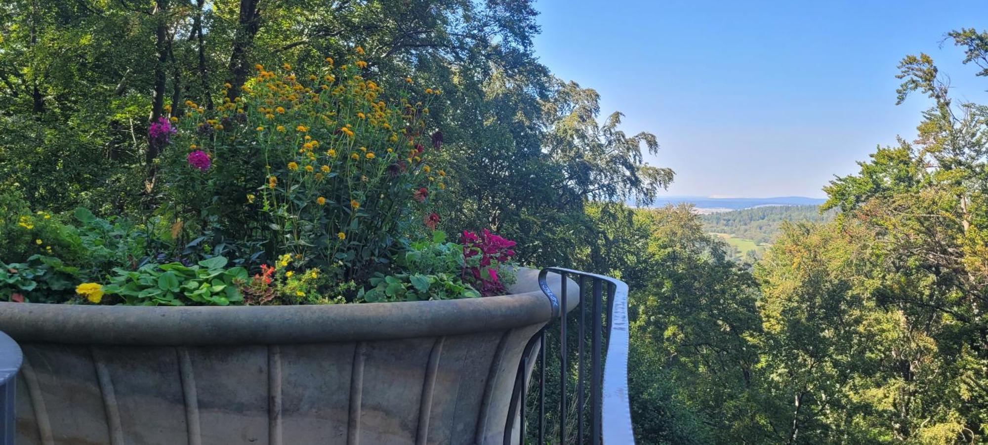 Villa Charlotte Bad Liebenstein Eksteriør bilde