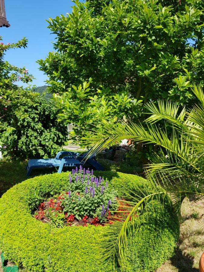 Villa Charlotte Bad Liebenstein Eksteriør bilde