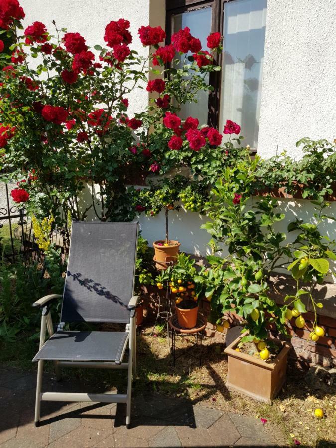 Villa Charlotte Bad Liebenstein Eksteriør bilde