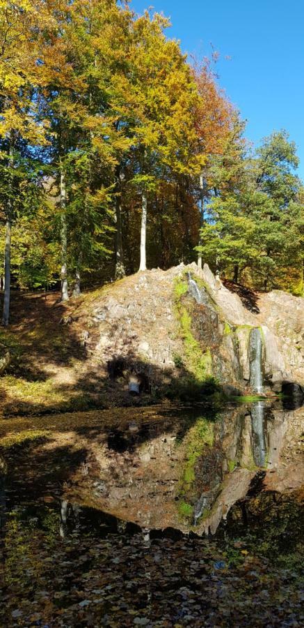 Villa Charlotte Bad Liebenstein Eksteriør bilde